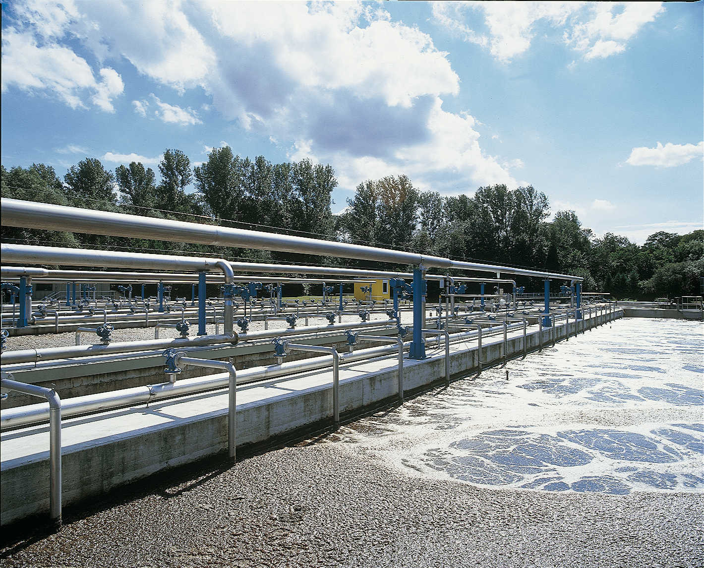 Das Belebungsbecken Das Belebungsbecken